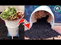 How To Make Compost At Home Kitchen Waste Compost Update