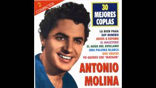 Antonio molina - Una paloma Blanca