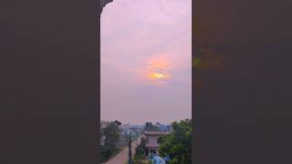 Download lagu Beautiful Sunrise & The Flowers | NO COPYRIGHT VIDEO | NATURE #shorts mp3 Download lagu Beautiful Sunrise & The Flowers | NO COPYRIGHT VIDEO | NATURE #shorts mp3