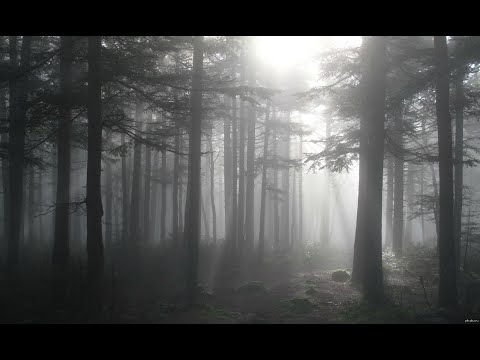 Music for trading ( Pavel Dovgal - Spiritual Wave Mix)