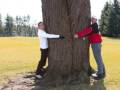 A Tree Hug