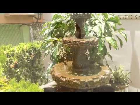 Imagen de Hotel Posada De Paz Managua cerca de aeropuerto y de mercado mayoreo