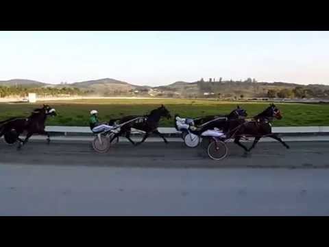 1.digno tp 2.00.10. 2. beleno. 3. neutral. 4. mistico.