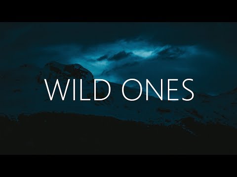 Wild Cards - Wild Ones (Lyrics) ft. Emily Brimlow