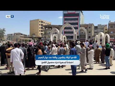 تقرير "سانا" عن وقفة احتجاجية لمزارعي الرقة رفضاً لتسعيرة شراء محصول القمح