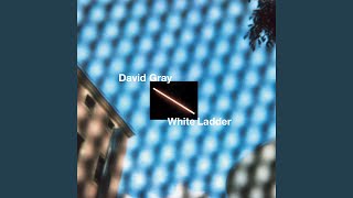 Say Hello, Wave Goodbye