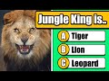 General Knowledge Quiz #4 - Animals 🐶🐱🐨