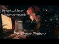 Tor Moner Pinjiray Jisan Khan Shuvo Slowed And Reverb Bengali Lofi BENGALI LOFI SONGS