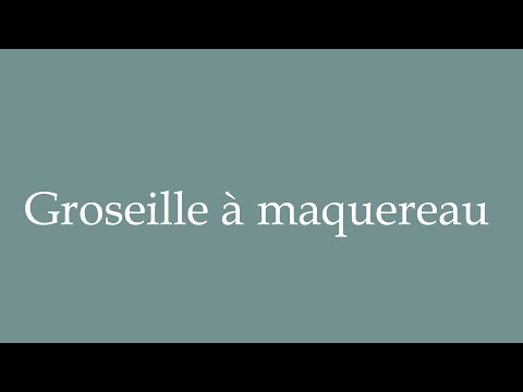 How to Pronounce ''Groseille à maquereau'' (Gooseberry) Correctly in French
