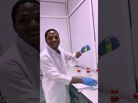 Run Quick Lab Tests & Analysis on Analysisafrica