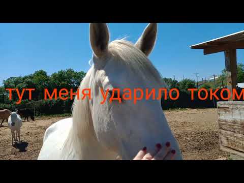 Maurin(Lattes) Poney club d'Axel