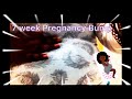 Lesbian 7weeks 3days Pregnant Just My Belly Bump Lesbiancouple Iui Clomid Donorsperm Lesbian