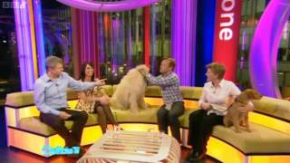 BBC Bloopers - Outtake TV - 9/04/2010 BBC Bloopers - Outtake TV - 9/04/2010