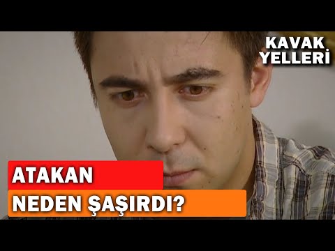 Atakan Sonucu Görünce Çok Şaşırdı! - Kavak Yelleri 119.Bölüm