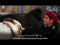 Eid E Qurban Special Status Bakrid Status 2022 Qurbani Hai Ek Fariza Sacrifice Is A Duty HD