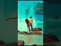 Saiyaara Ahaan Pandey New Status Saiyaara Saiyaarasong Song Love Truelove Viral