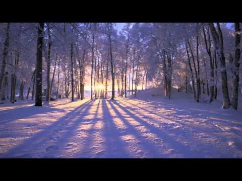 Danny Byrd - Wait For Me (Feat. Zarif)