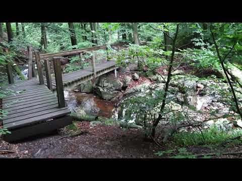 OPwekking 290 Hemelse Vader