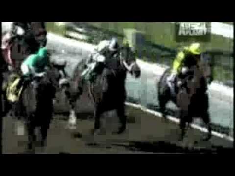 Rachel Alexandra VS Zenyatta