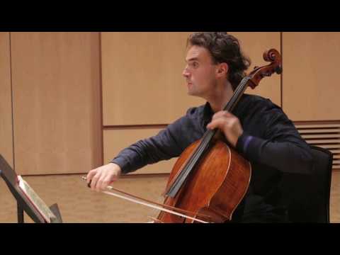 Elschenbroich on Dvořák: Fantasy And Colour