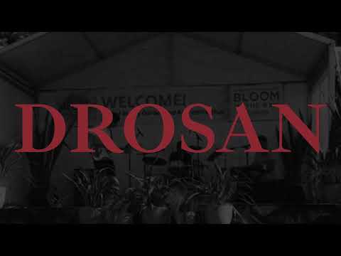 DROSAN - Live at Garden & Art Festival 2024