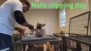 Nails clipping day