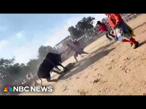 Video shows bull rider tossed and trampled at Bronx rodeo