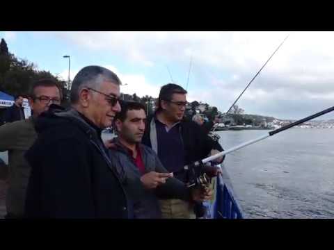 OLTALAR FARKINDALIK İÇİN ATILDI