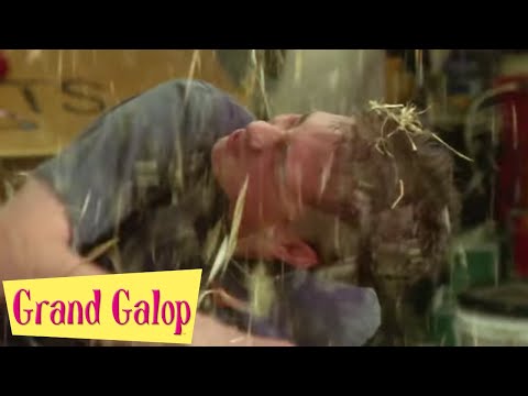 Grand Galop - Concurrence Déloyale | Saison 1 | Episode 12 | Saddle Club Français