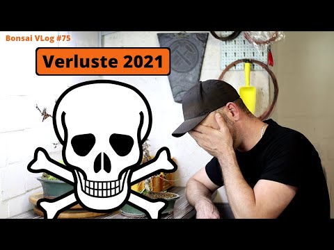 Bonsai Verluste 2021 - Ich kann tote Bonsais sehen [Tod] | Bonsai VLog #75