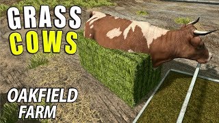 GRASS COWS | Farming Simulator 17 | Oakfield Farm - Episode 39
