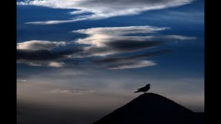 Kari Bremnes - Nytt i Mellom Oss (bilder fra Herøy, Helgeland