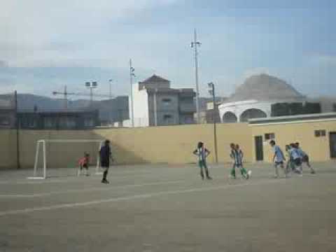 POLI-VICAR(alevines)