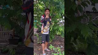 Download lagu Mau ketawa takut dosa video lucu bikin ngakak hiburan warga 62 funny videos #funny #shorts #viral mp3