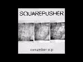Squarepusher - Conumber E:P
