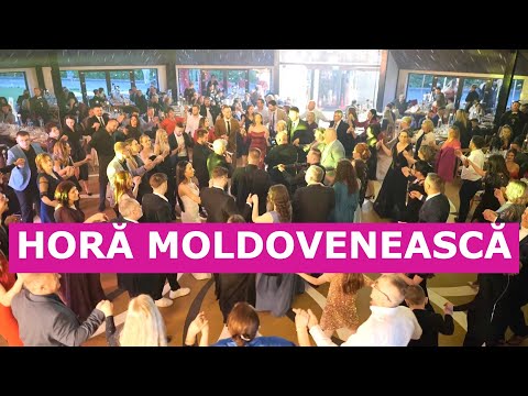 Horă moldovenească - nuntă 2025 - ANDREI BORDIANU BAND Formatie nunta Iasi