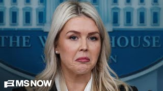 'General B.S.' from Leavitt about Iran is 'unfortunate': Steele