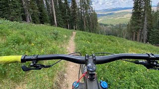 Downhill Mountain Biking @ Sunrise Park/Ski Resort in Arizona