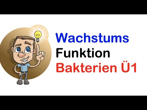 Wachstumfunktion Bakterien Textaufgabe