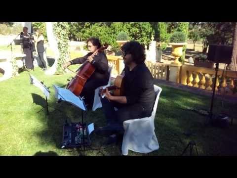 Guitarrista y Violonchello