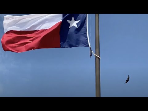 Veterans Memorial Park. Cedar Park Texas