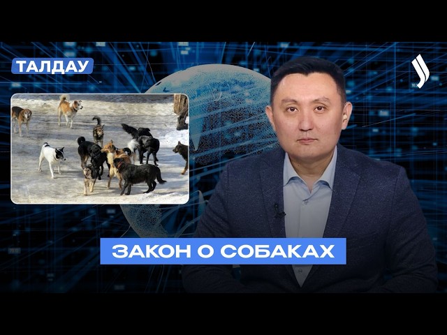 Закон о собаках: за и против