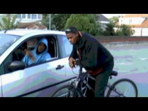 Kay9vision- Swerve & Bully - Bird in Bird out