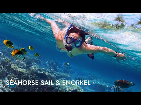 catamaran sail and reef snorkeling nassau