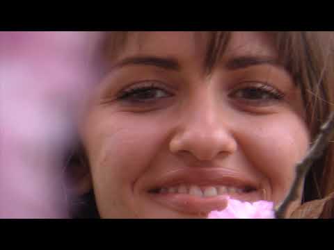 "How He Came Back Home" - A beautiful film about love and loss