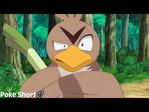Farfetch'd Is In Danger | Pokemon Funny Moments