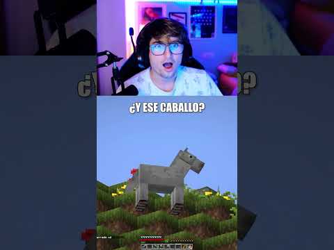 Caballo homosexual de las montañas 🐎🌈