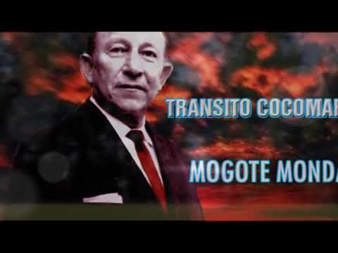 Tránsito Cocomarola(Mogote Mondá)