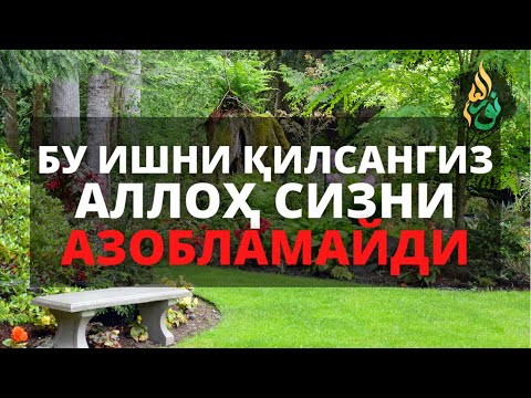 BU ISHNI QILSANGIZ ALLOH SIZNI AZOBLAMAYDI / ABDULLOH DOMLA (Animatsiya)