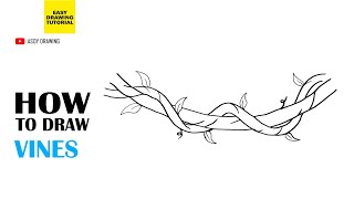 How to Draw Vines